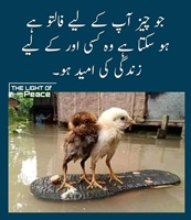 جو چیز آپ کے فالتو ہو سکتا ہے وہ کسی اور کی زندگی کی امید ہو